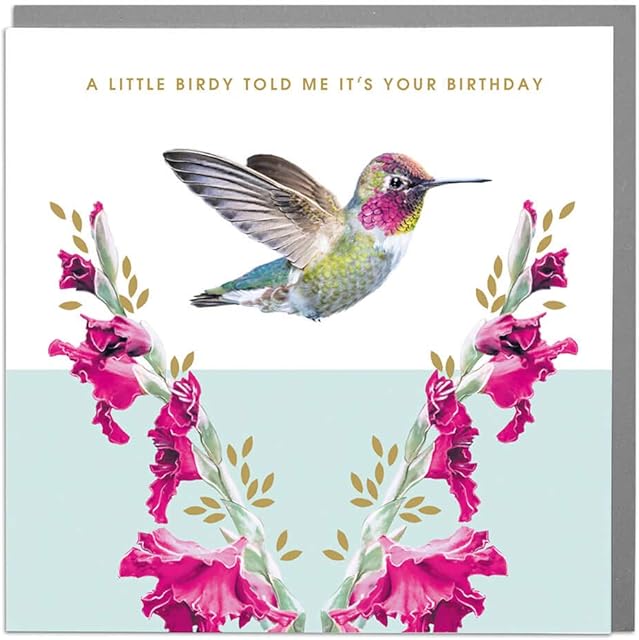 Hummingbird - A Little Birdy Told Me Birthday Card with Grey Envelope by Lola Design