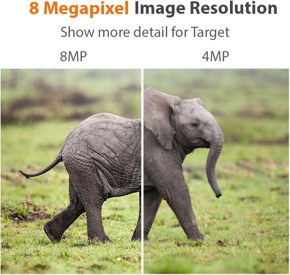 Comparison of 8MP and 4MP image resolution showing greater detail in 8MP
