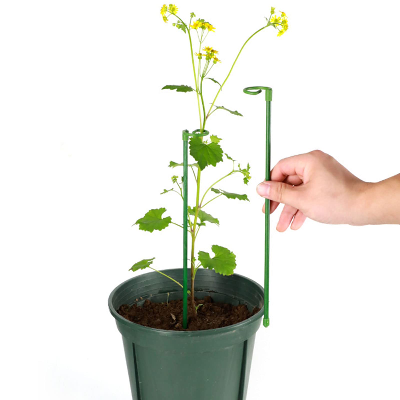 Valink Supporto Per Arbusti, Da Giardino, Con Stelo Singolo, Per Piante