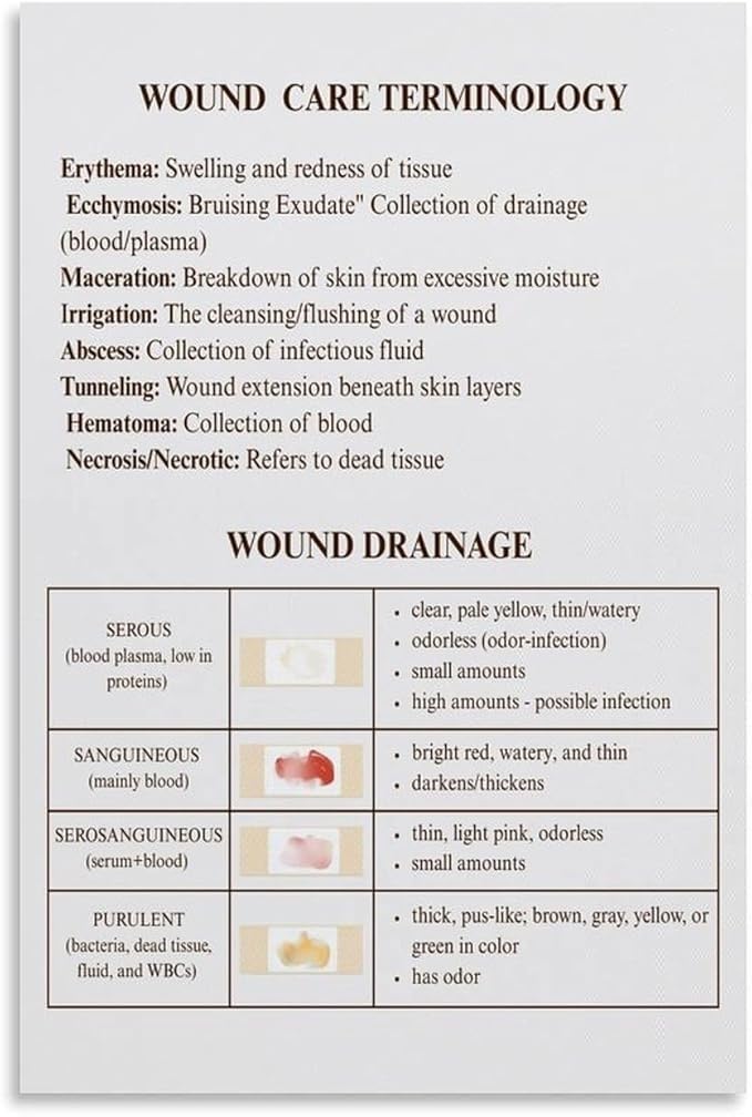 MDBJTCYZN Skin Anatomy Educational Poster Layers Of The Biology Science Chart For Study Classroom Office Decor(Unframed,12x18inch(30x45cm))
