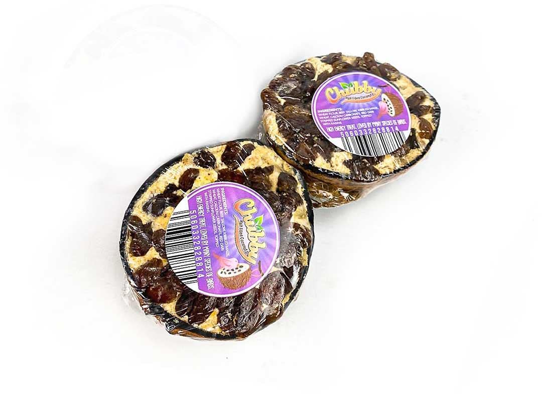 Chubby Coconut Halves Topped with Raisins, Bird Feeder Coconut Shells, for Wild Birds, Suet for Blackbirds, Woodpeckers, Starlings & Sparrows (2 Pack)