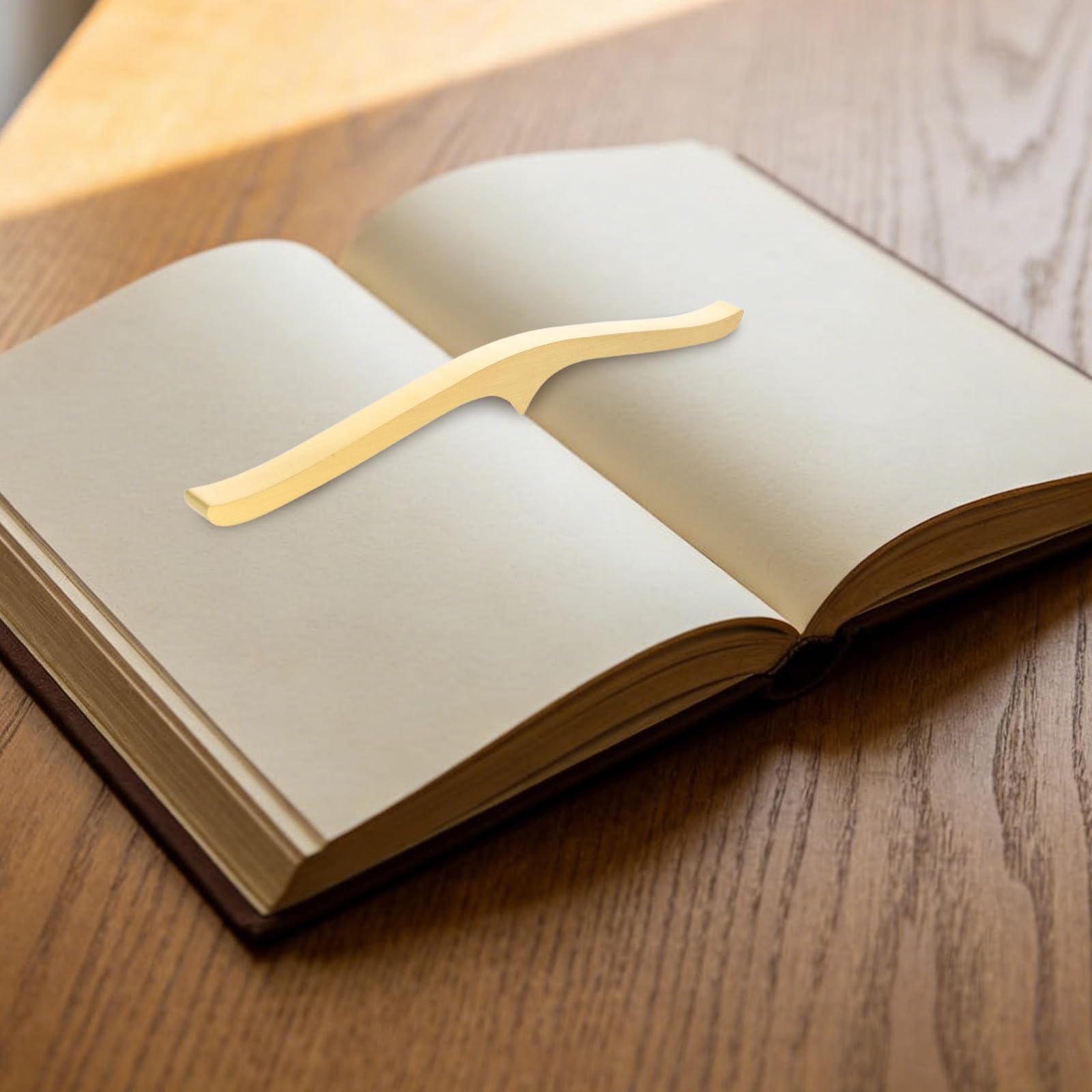 DOITOOL Fermacarte per calligrafia in ottone dorato: fermacarte pesante per pittura e disegno - strumento per esercitarsi nella calligrafia per l'arte cinese, la scrittura e la lettura di libri