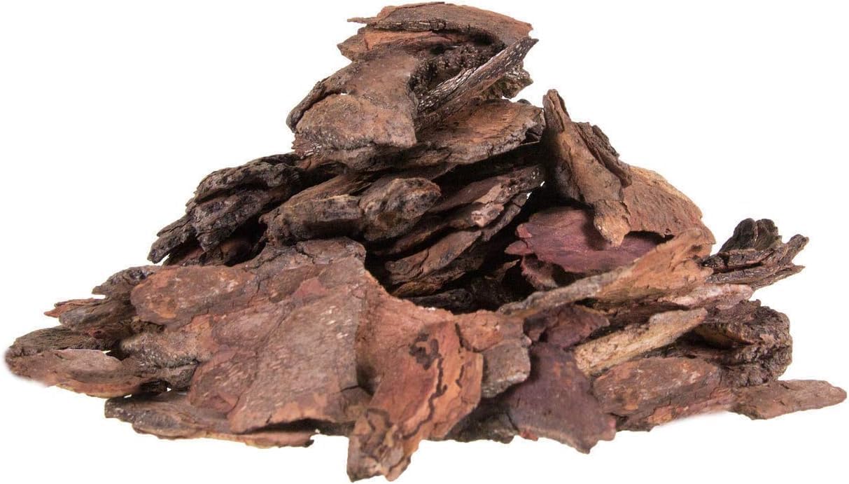 Neem Bark Neem Ki Chaal - 100 GMS| Veppam Pattai | NEEM CHHAL