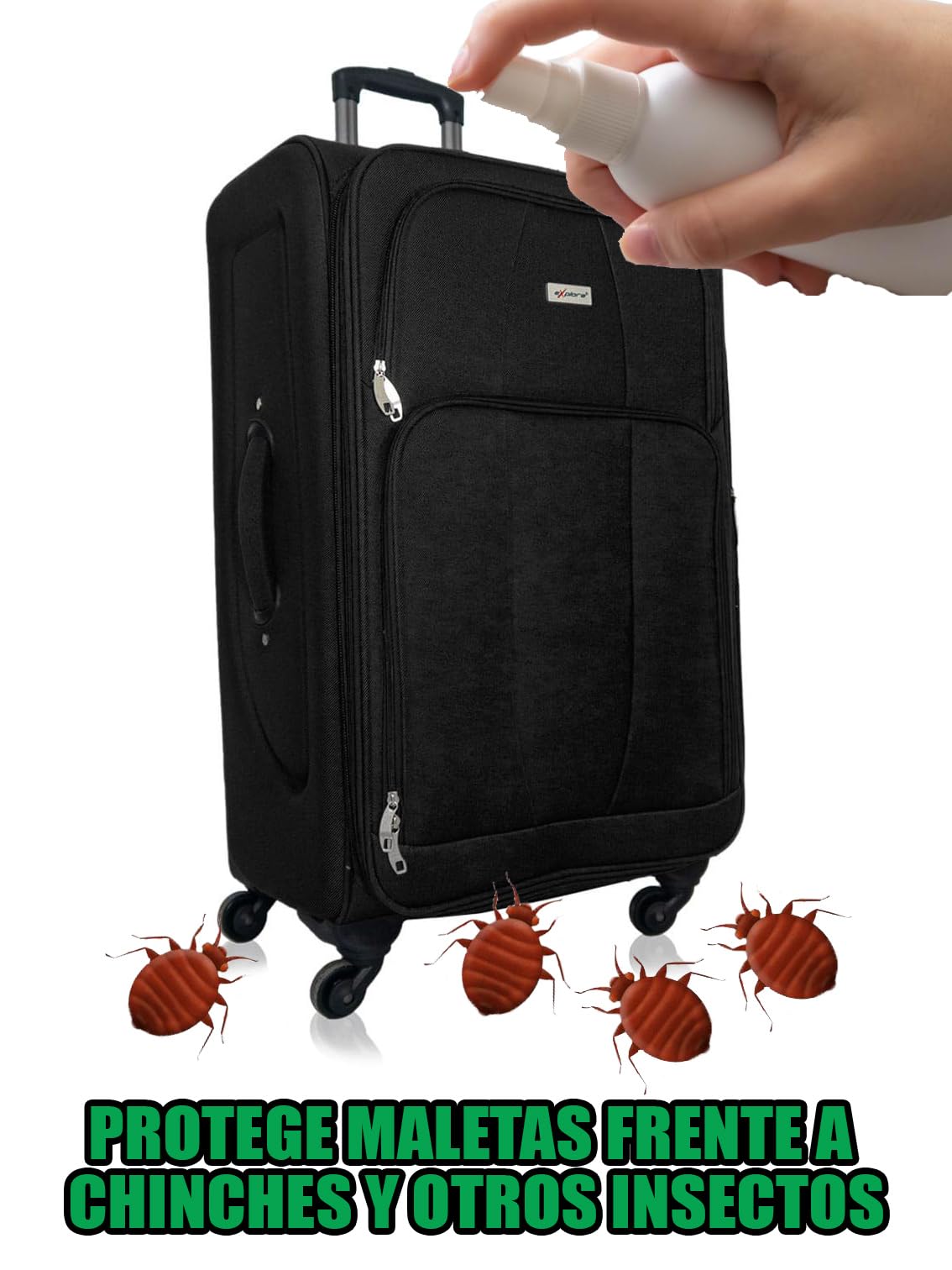ACETAMIPRID Spray Anti Ácaros y Anti Chinches e Insectos en Tejidos | Insecticida para Maletas de Viaje | Persistencia de 6 meses | 250ml
