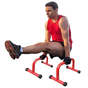 Amazon | LSKSSNG プッシュアップバー パラレットバー Lシット