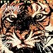 Eye Of The Tiger