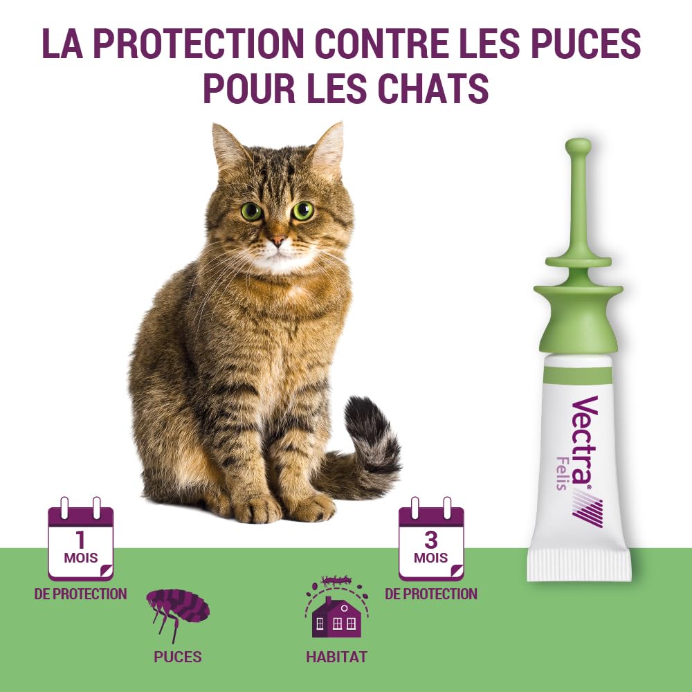 Vectra® Felis Solution Spot-on pour Chats - 3 pipettes