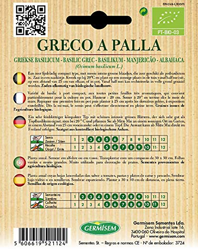 Germisem Organisch Greco a Palla Basilicum Zaden, 2 g - Afbeelding 3