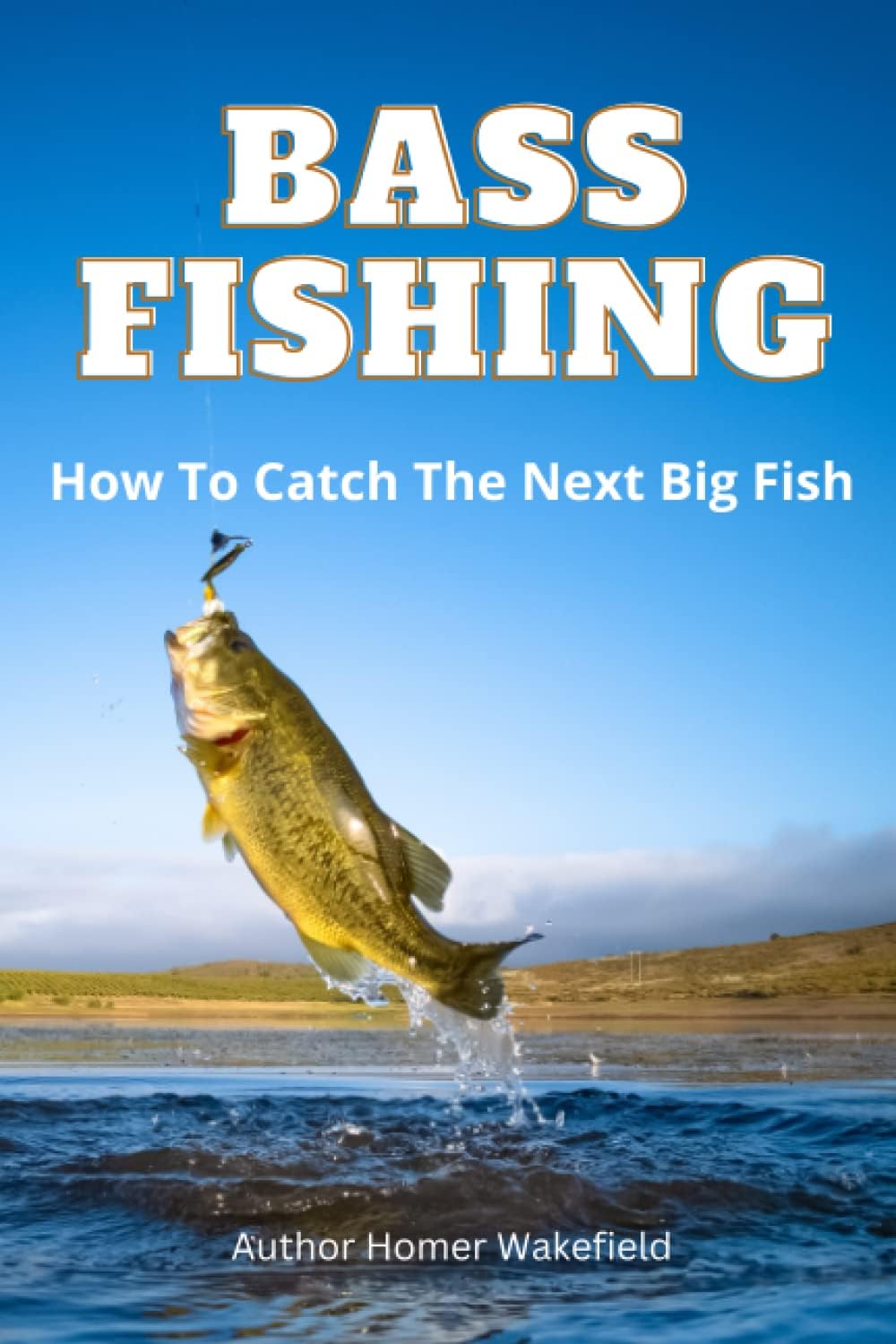 Bass Fishing: How To Catch The Next Big Bass Fish, Get Bass Fishing Information, Bass Fishing for Beginners