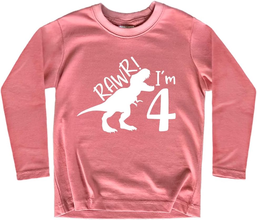 rawr im 4 Year Old Girl Birthday Shirt Dinosaur Roar Four 4th Toddler Outfit Fourth