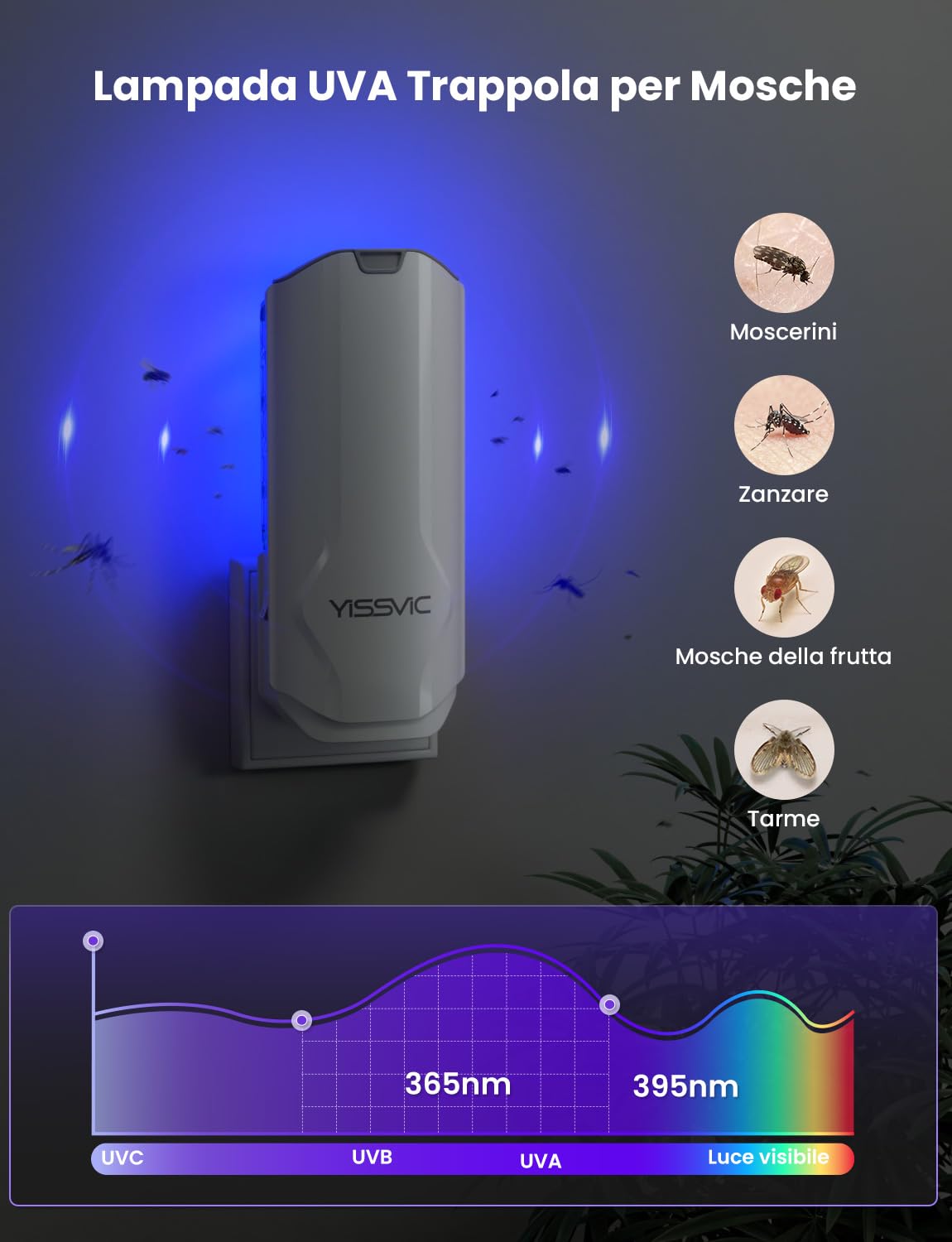 YISSVIC Trappola per Mosche della Frutta per Interni con Lampada UV, Confezione da 1 Trappola e 5 Adesivi, Ideale per Cucina, Vicino a Piante e Frutta