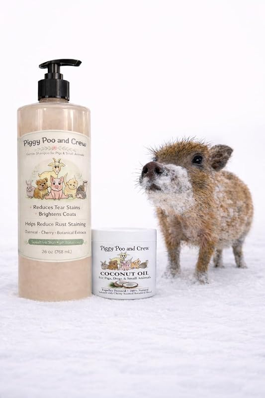 Shampoo para porcos e pequenos animais Piggy Poo and Crew com óleo de coco, pH balanceado, aroma de cereja, combo com 780 mL e aproximadamente 454 g