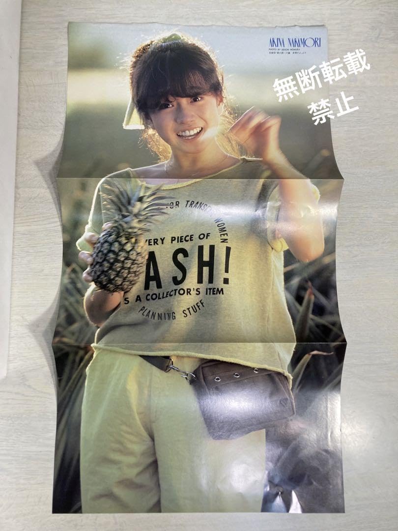 中森明菜　ポスター2枚セット Amazon.co.jp: 中森明菜 付録ポスター2枚 80年代アイドル : おもちゃ