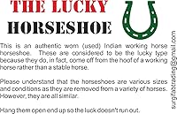 Vista 3 de Wonder Care Herradura auténtica usada herradura amuleto de buena suerte rústico auspicioso regalo de la suerte de hierro fundido real herradura
