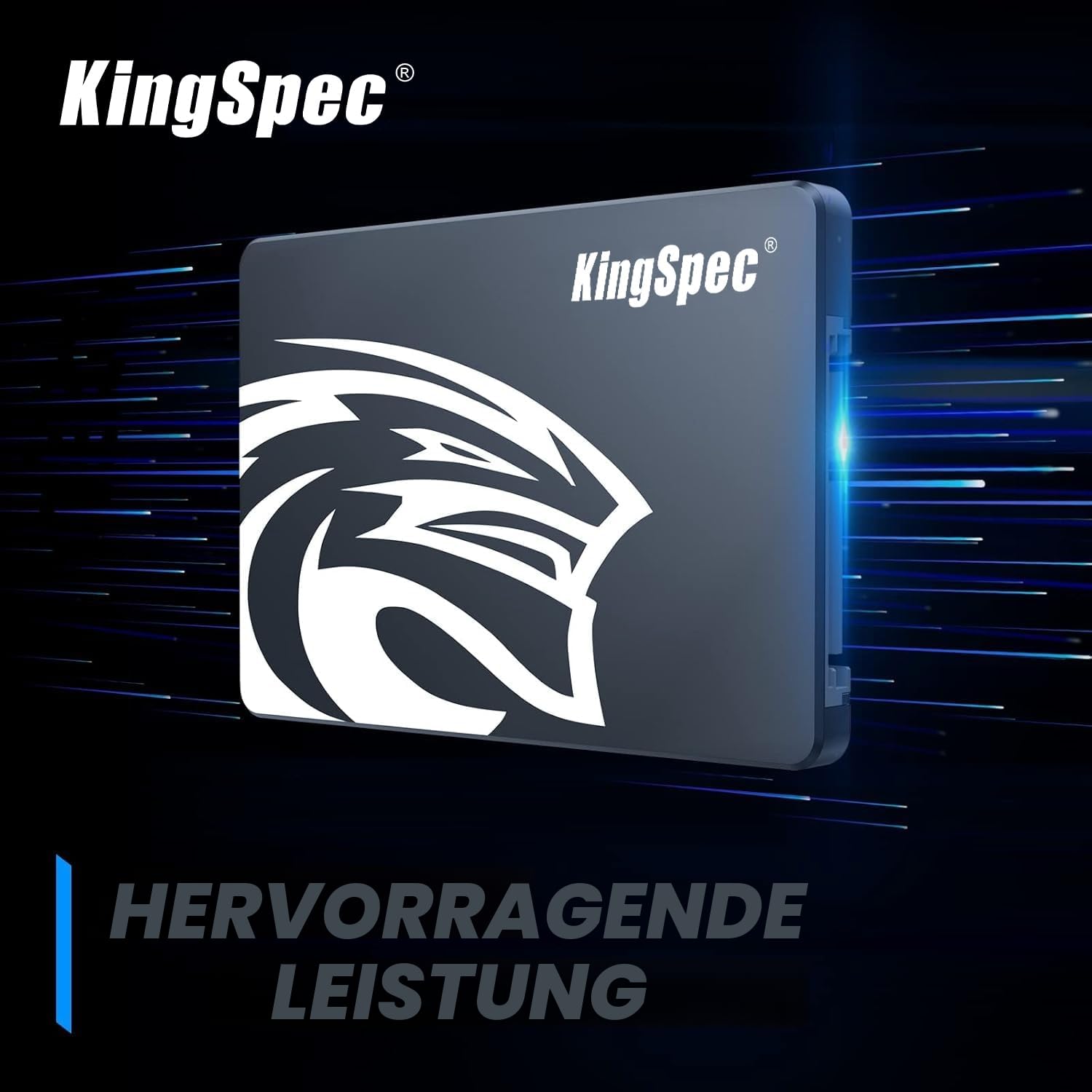 KingSpec 1TB 2.5" SATA SSD Intern 3D NAND Flash
