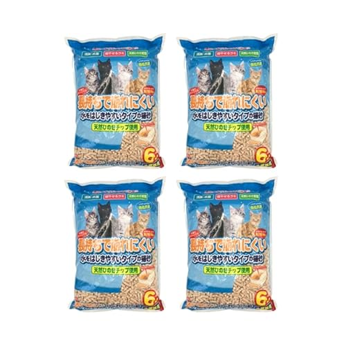 ŕɂ ͂₷^Cv̔L VXegCp 6L×5܃Zbg L Ђ̂ w LgC e 