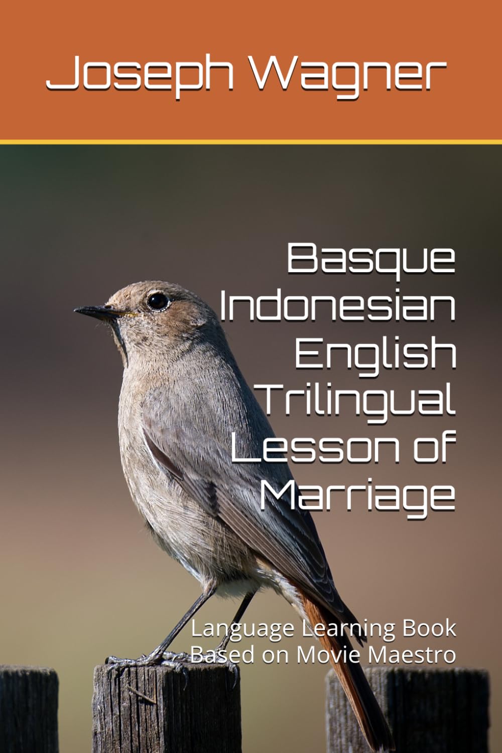Basque Indonesian English Trilingual Lesson of Marriage: Language Learning Book Based on Movie Maestro