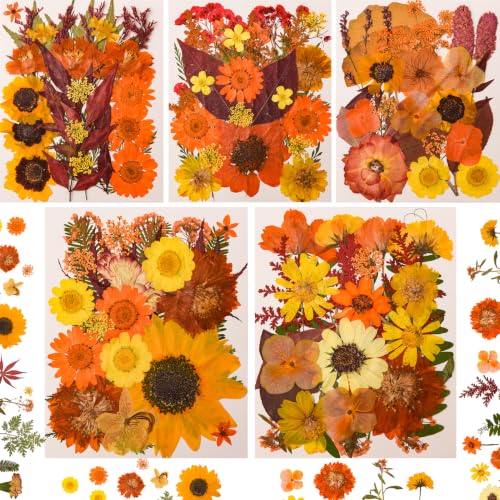 Image of 5 Packs 140 Pressed Dried Flowers & Leaves, Fall | Assorted Natural Dry Flowers, DIY Crafts, Resin Jewelry, Card Making, Soap, Candles, Nail Art, Scrapbooking