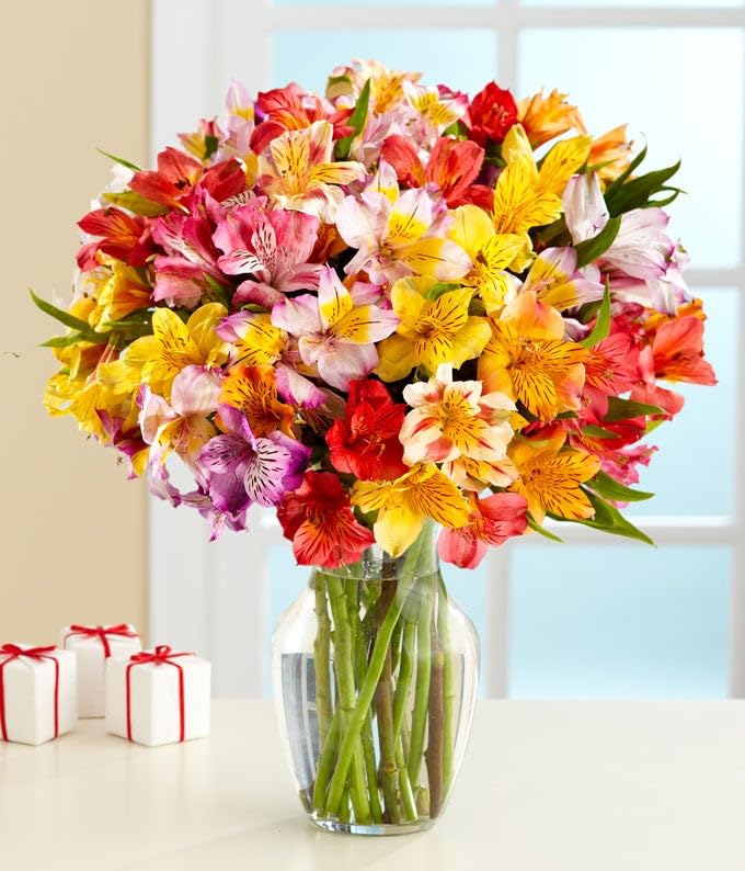 From You Flowers Alstroemeria