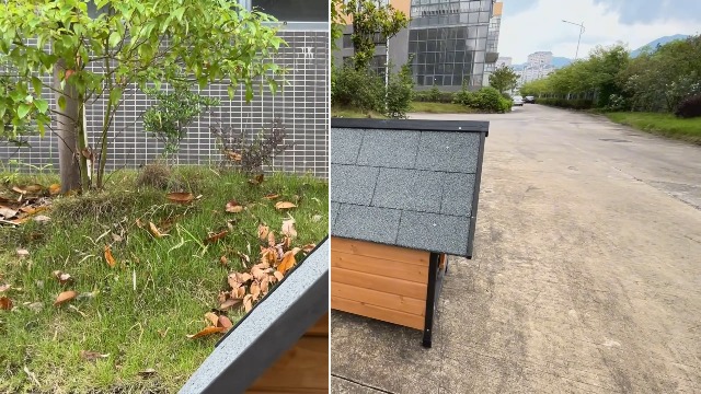Amazon | OAFNLWU 天然杉材 木製 犬小屋 犬舎 屋外用 中型犬対応