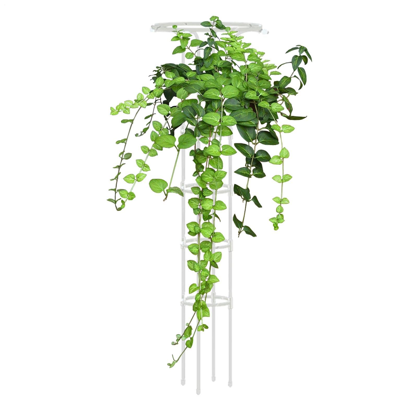 Obélisque de Jardin - Treillis Vertical en Acier Inoxydable pour