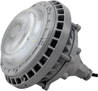 Explosion Proof LED Light Fixture BED60-30W 50W 60W 80W 100W AC85V-265V Hazardous Area BED60-60W