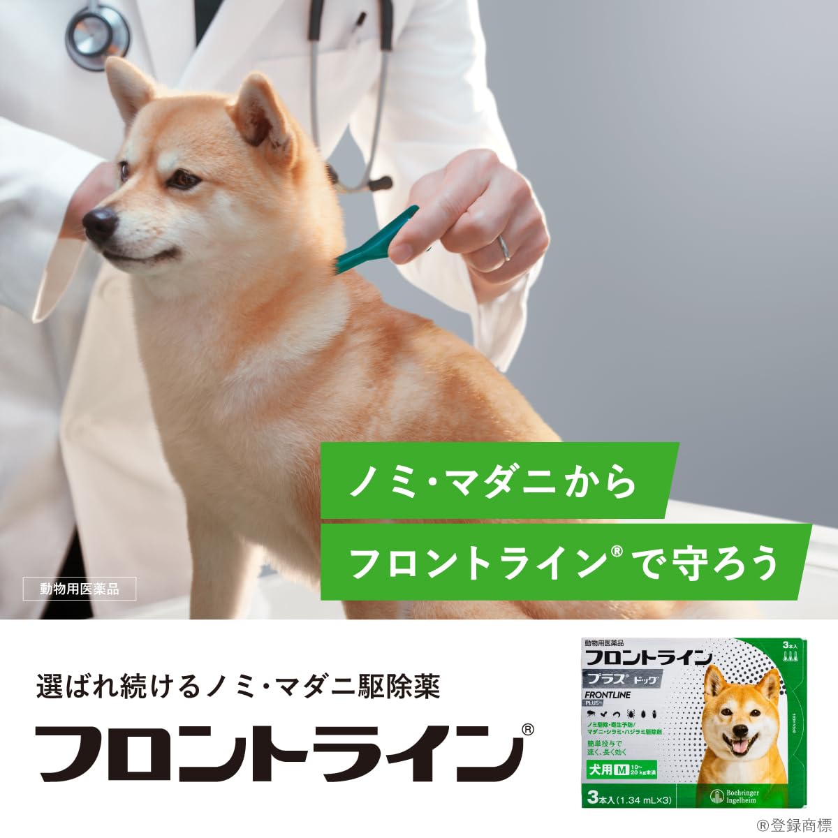 Amazon | 【動物用医薬品】フロントライン プラス ドッグ 犬用 M(10kg