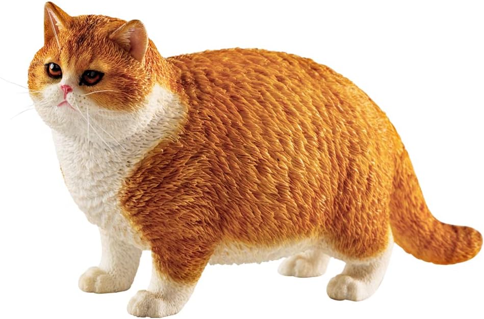MMOS X JXK Fat Cat Statue Cat Figurine for Table Decor Durable Polyresin with Intricate Details Gifts for Cat Lovers