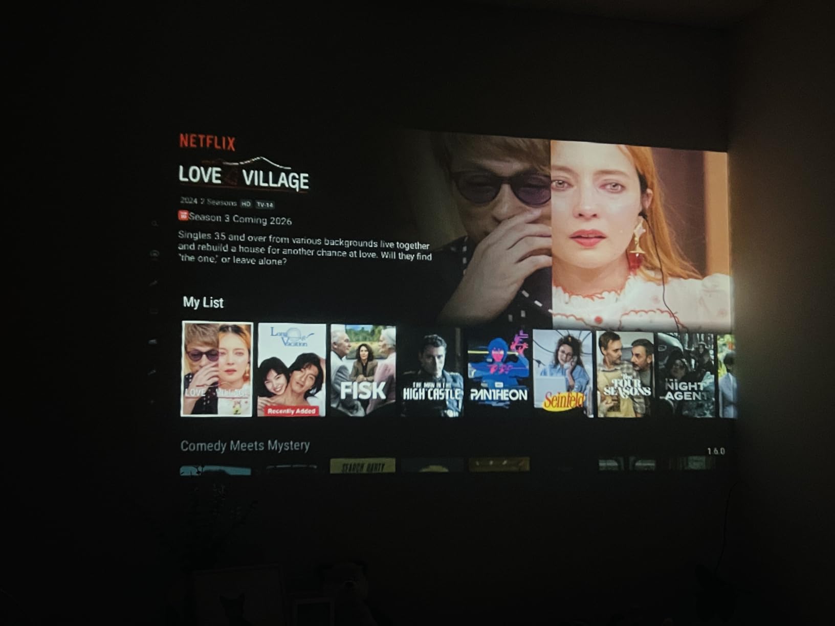 Netflix interface on the projector