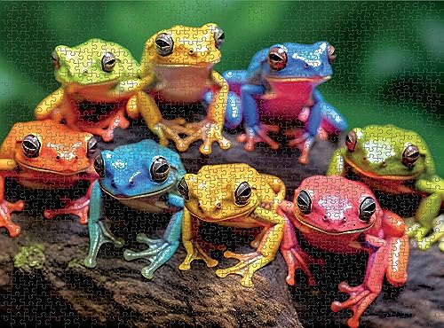 Cross & Glory - Rainbow Ribbit: Frog Ensemble - 1000 Piece Jigsaw Puzzle for Adults - Image 4