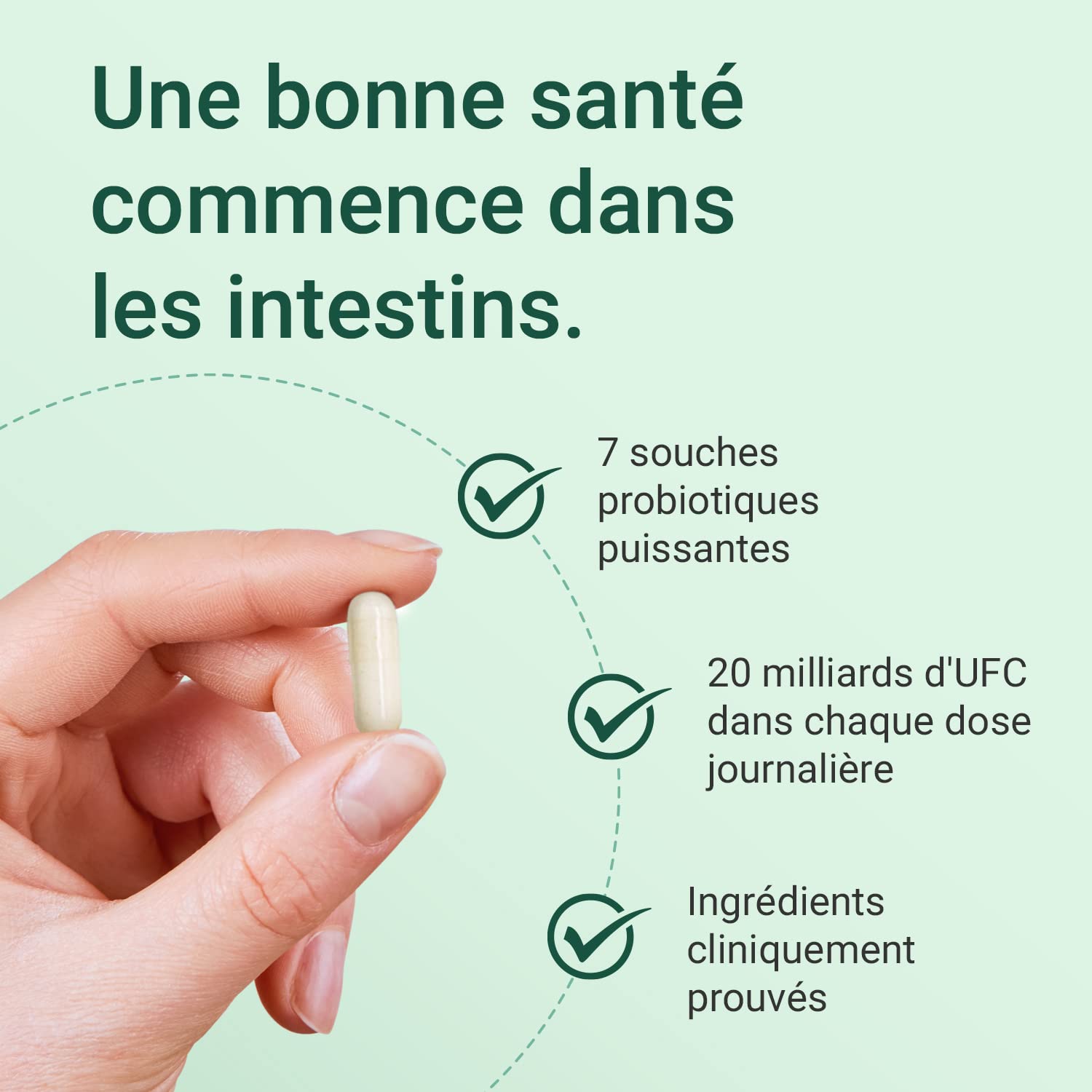 Complément alimentaire Complexe de probiotique de Theonia - 7 souches puissantes avec 20 milliards d’UFC par dose journalière - système immunitaire, la digestion et la santé de la peau - 60 gélules | 7 souches avec 20 milliards d’UFC par dose journalière