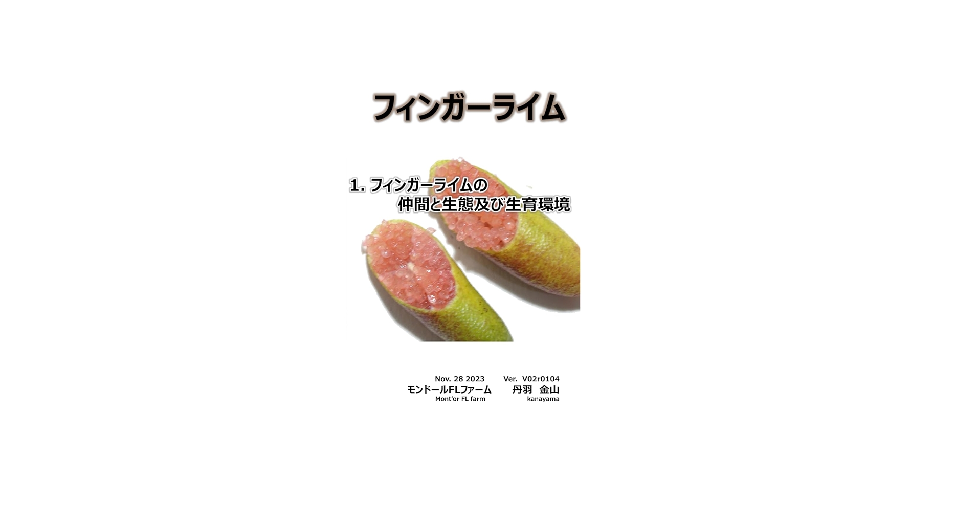 フィンガーライム　２点セット　1 フィンガーライム: 1. フィンガーライムの 仲間と生態及び生育環境