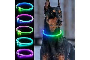 Luminous Safety Collar: Enhanced Nighttime Visibility for Canine Companions