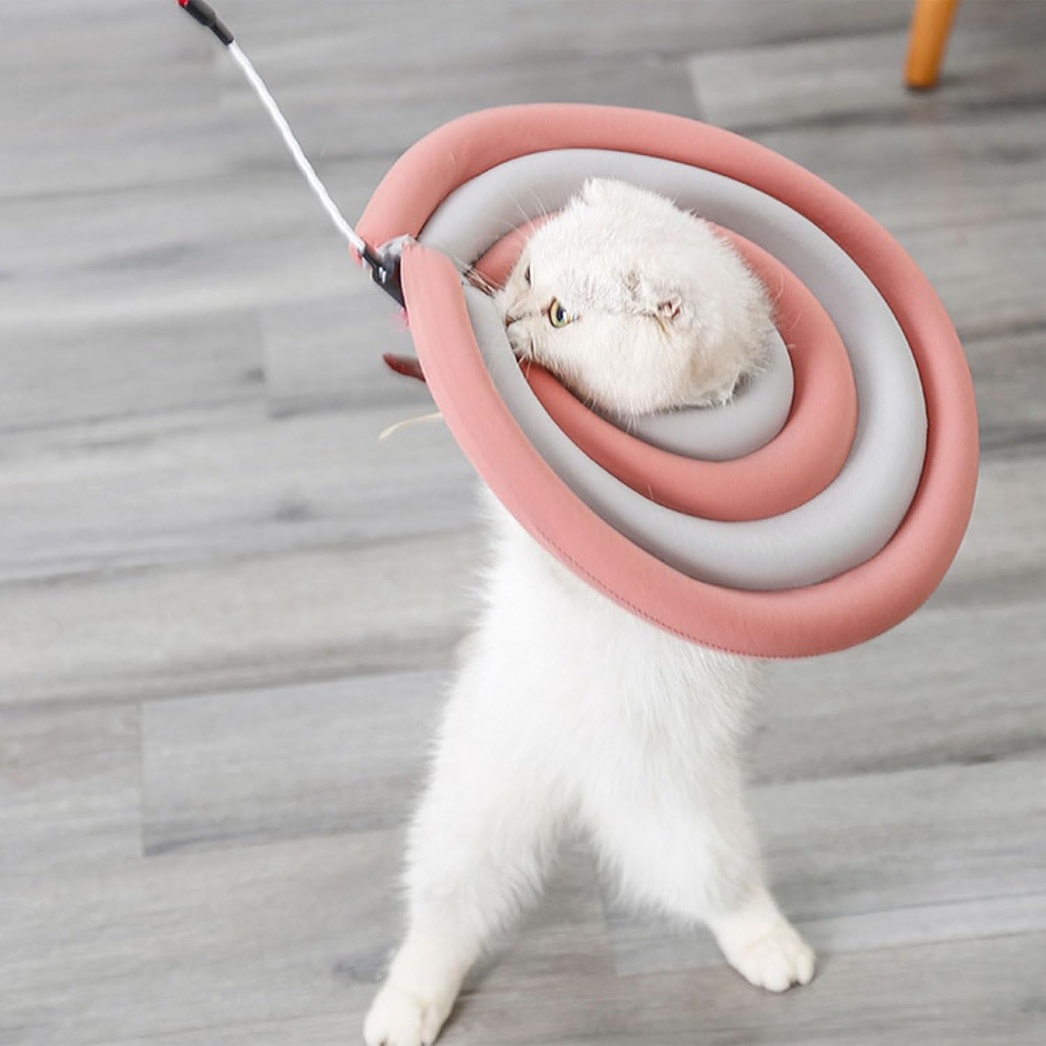 Recovery Cone for Pet Kitten Small to Large Dogs Recovery Collar Neck with Sticker Soft for Dogs After