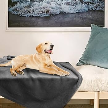 VAULTROOM】DOG & DUCK BLANKET Puppy Throw Blanket VAULTROOM