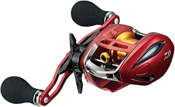 61GEMt62yAL._AC_UF350,