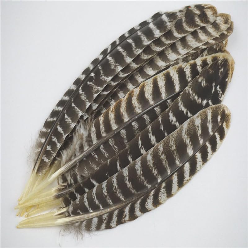 Natürliche Federn, Vogelfedern zum Basteln, Federn, Dekoration, Assesoires DIY, 20–25 cm, 10 Stück