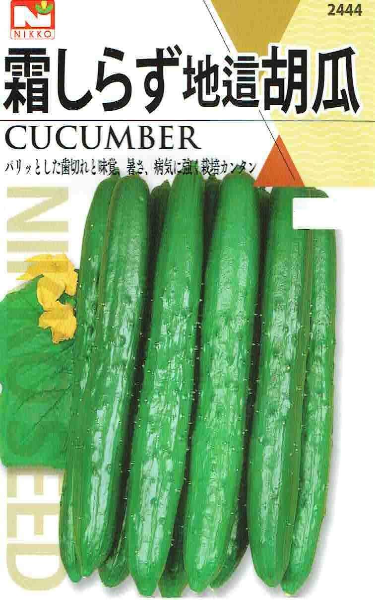 森のきゅうりさま依頼資料 Amazon.co.jp: 【種子】霜知らず地這きゅうり [2444] : DIY・工具