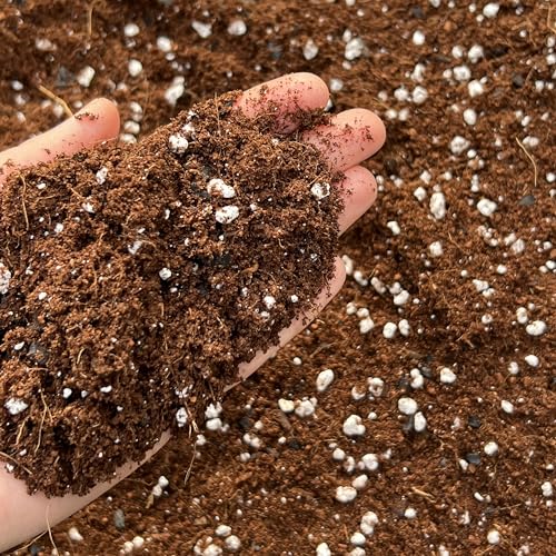 Coco Perlite Mix 70/30 with activated biochar - Enhanced Potting Soil Mix for Optimal Plant Growth and Health (3L)