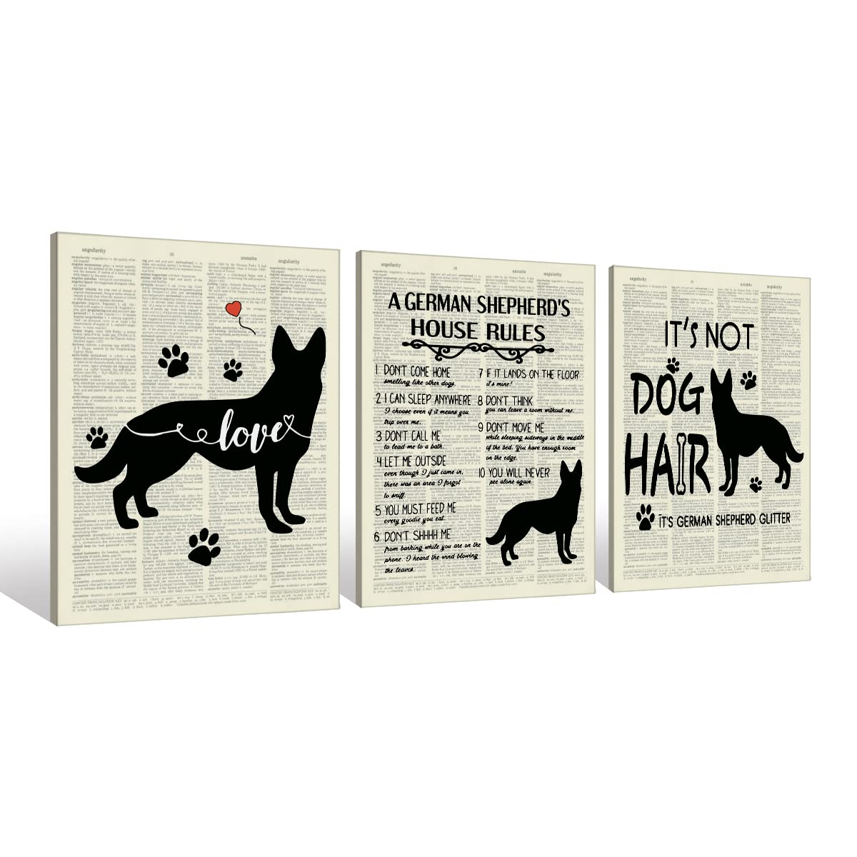 Why Is My Dog Smelling The Wall