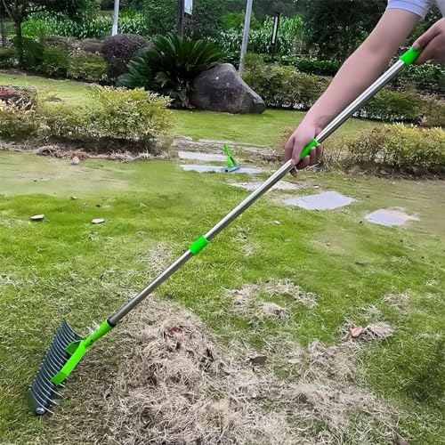 Râteau de sol de jardinage robuste pour fertiliser et aérer le gazon
