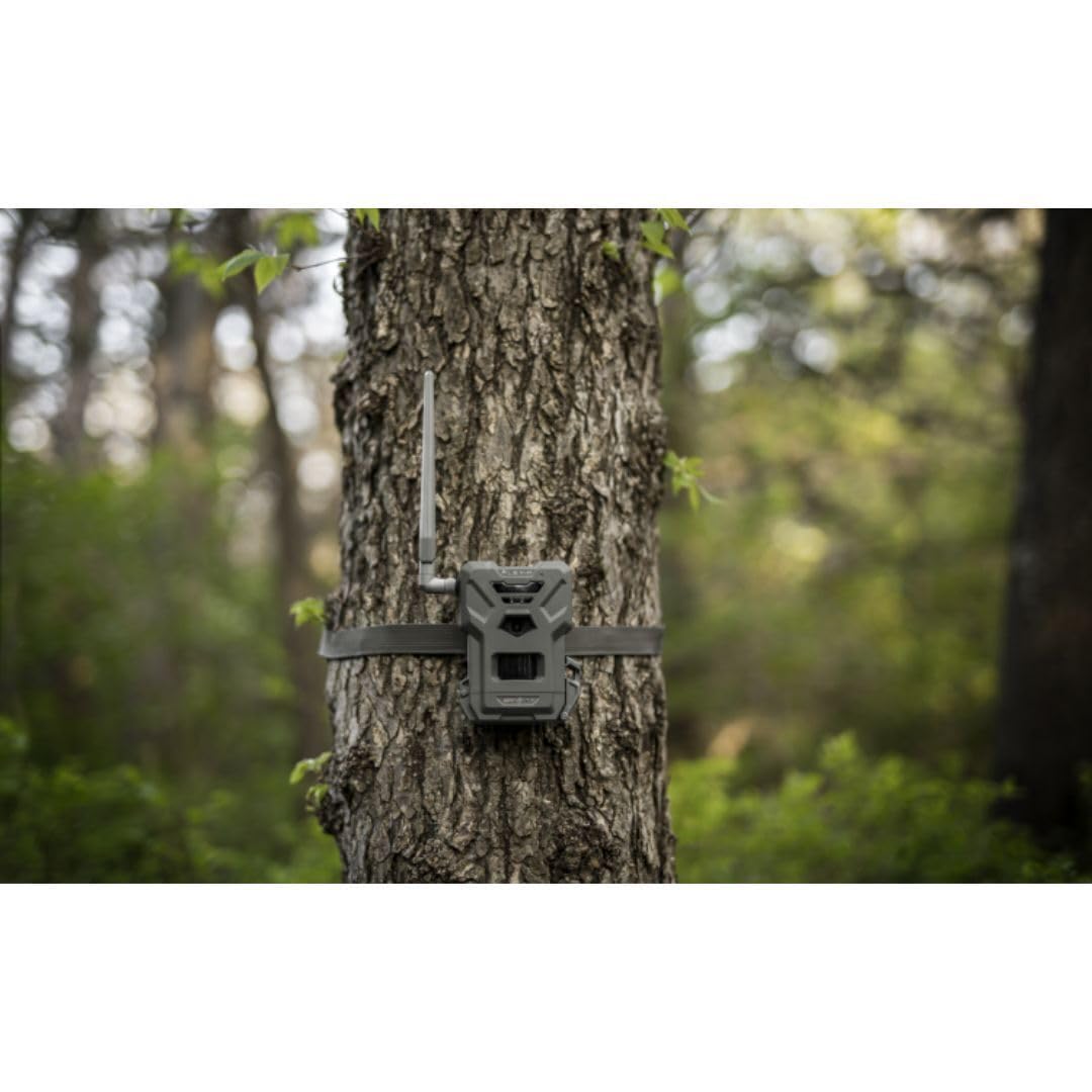 SPYPOINT Flex-M Solar Bundle - Cellular Trail Camera with Solar Panel, Best in Hunting Accessories, No WiFi Needed, GPS, Night Vision, Motion Activated, Dual-Sim LTE, IP65 Water-Resistant Game Camera