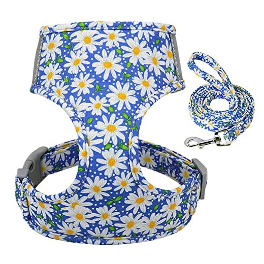 YUEHAN Dog Harness Cute Printed Cat Harness and Leash Set Adjustable Nylon Mesh Pet Puppy Cat Walking Harness Vest Leash for Small Cats Dogs Kitten