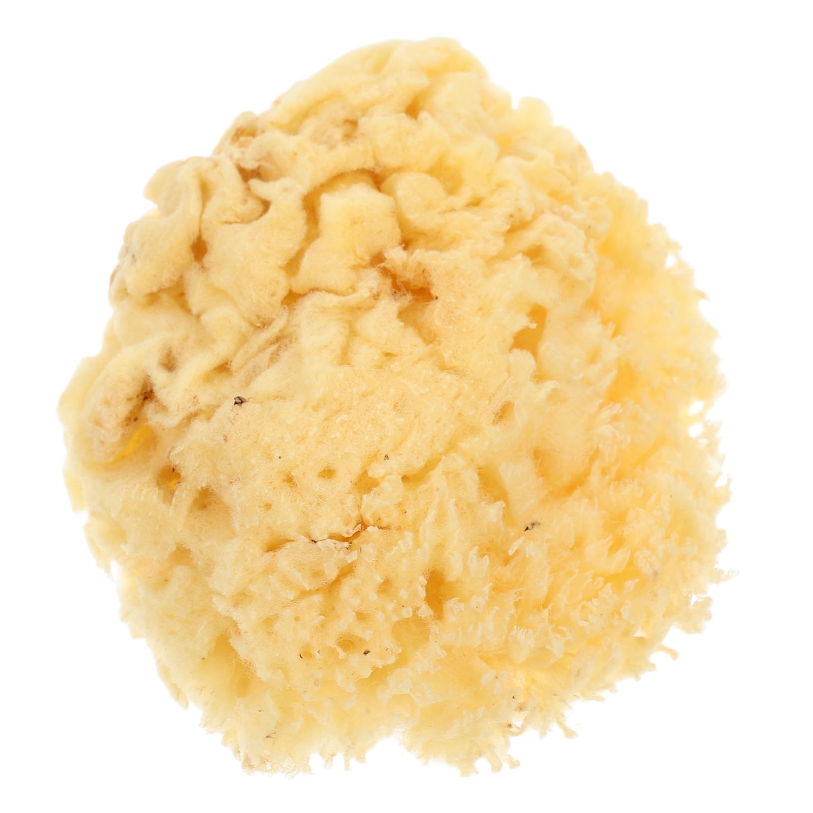 DOITOOL Natural Sea Sponge for Soft High Water Absorption Tool for Watercolor Painting and DIY Crafts Reusable Easy to Clean for Artists and Creative Projects