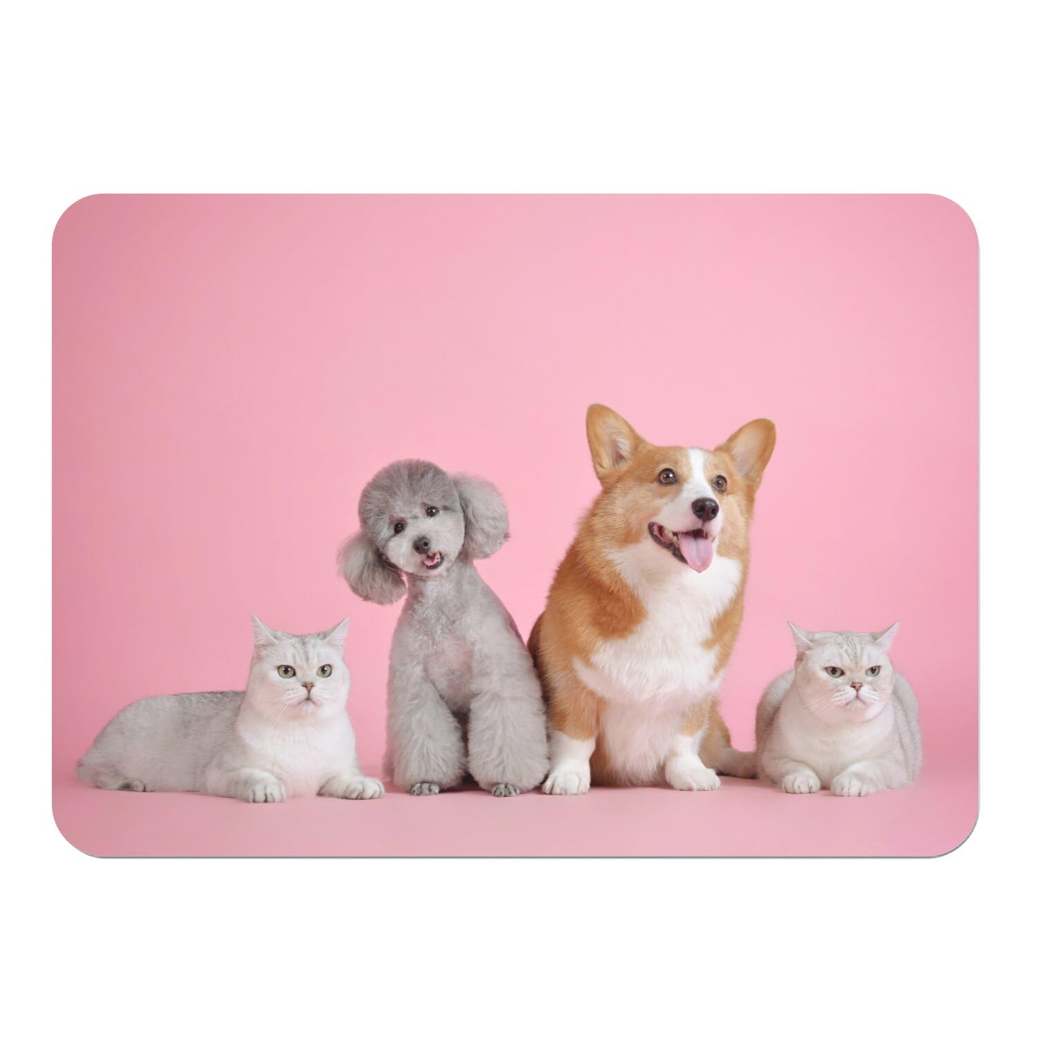 Set de table liège animaux rigolos grand format pour des repas de famille joyeux