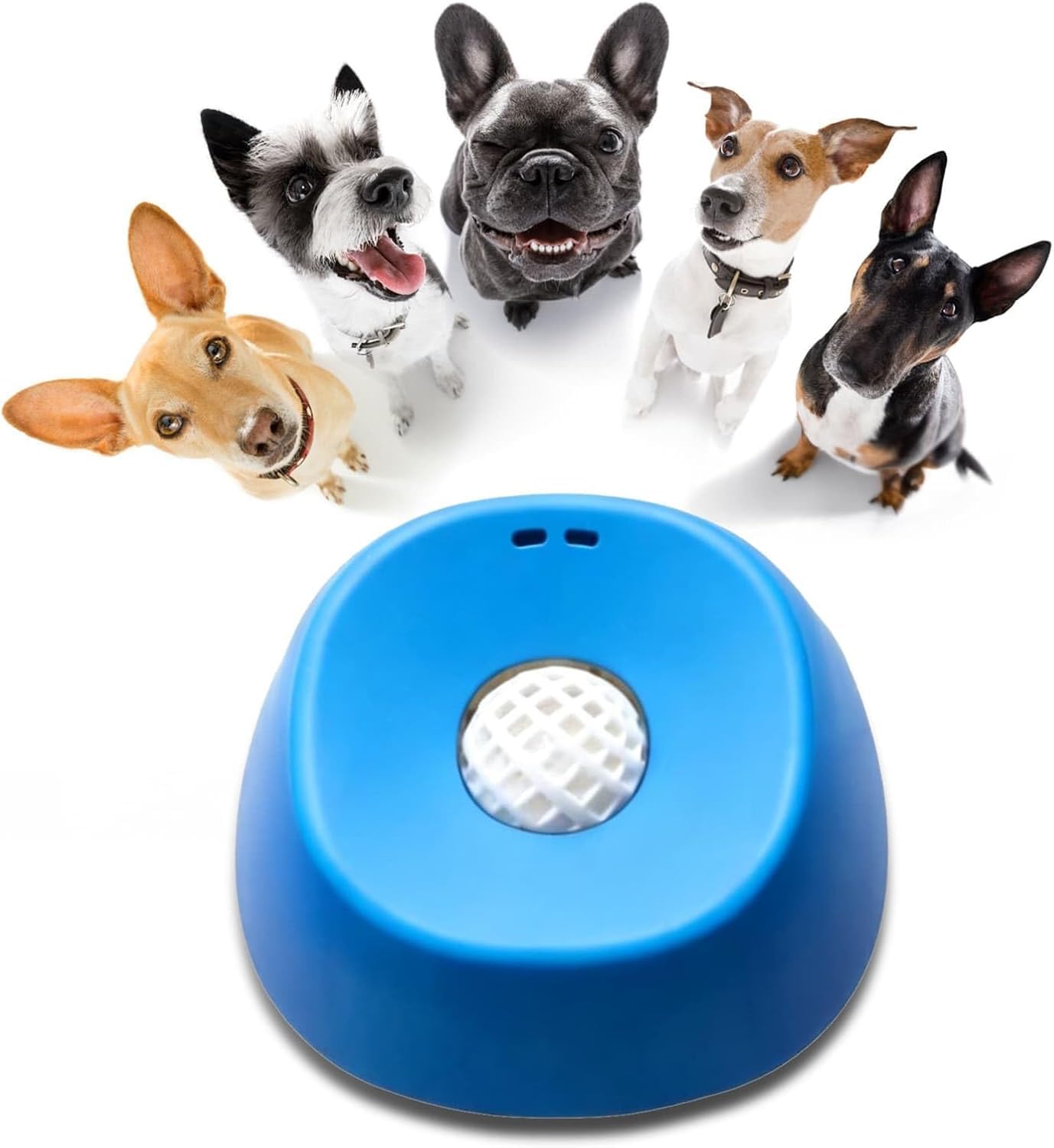 Slow Feeder for Dogs,Slow Feeder for Cats.for Interactive Licking and Daily Meal Times (Blue)-image-42