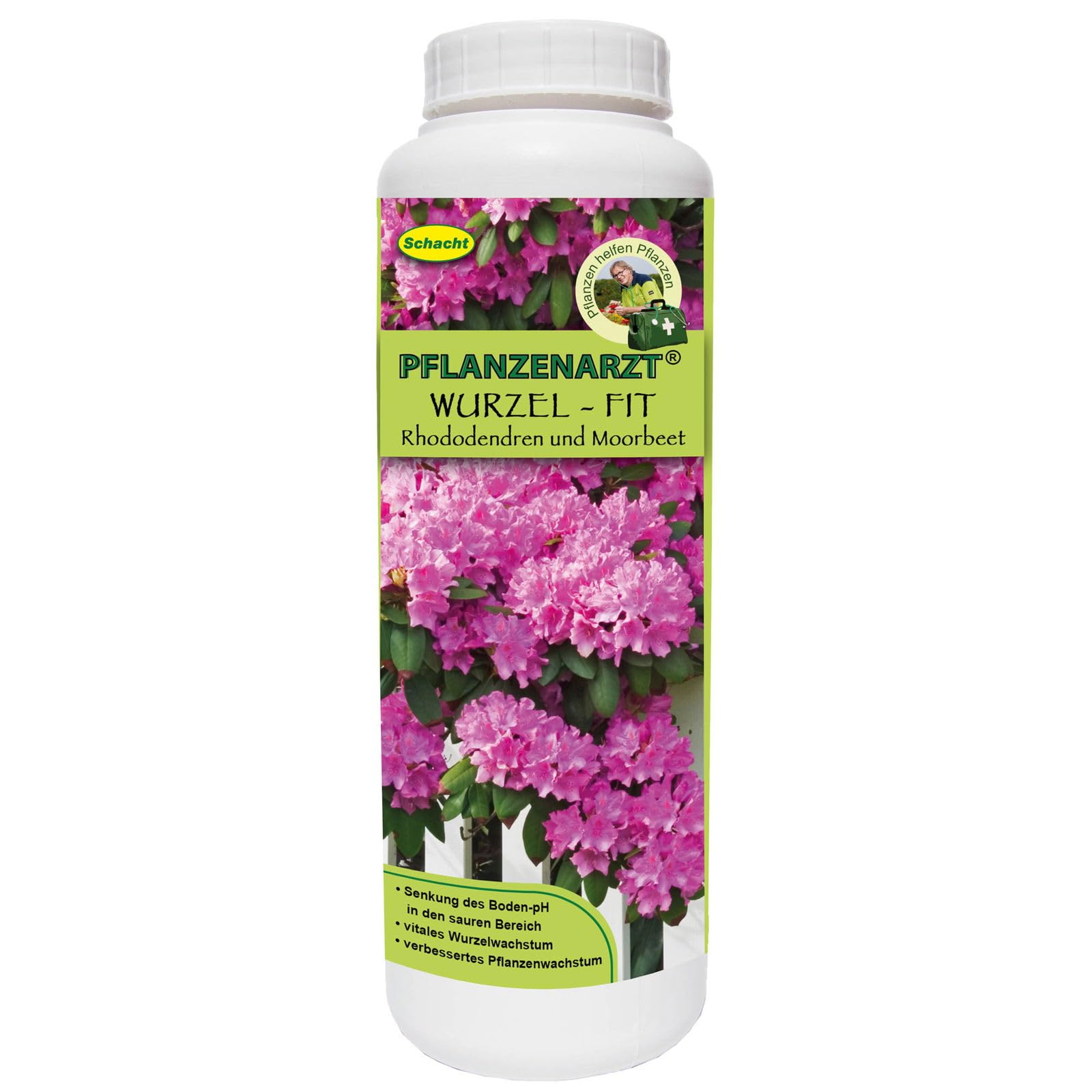 rhododendron rsselkfer Yakushimanum-Rhododendron 'Doc' - Rhododendron yakushimanum Doc