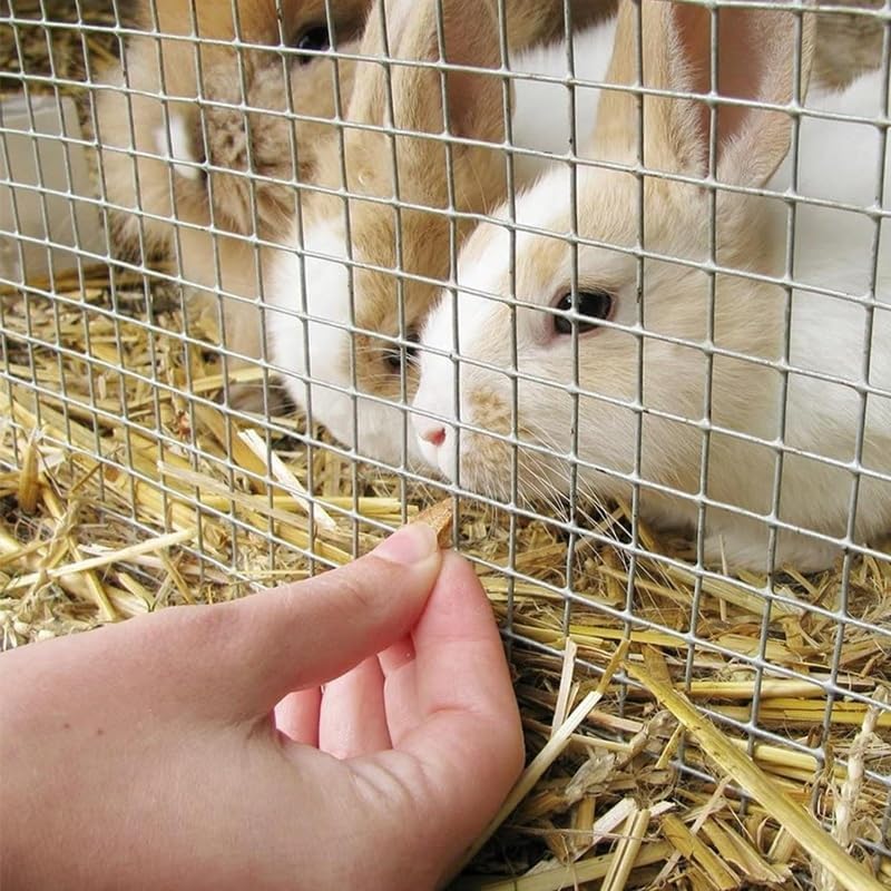 Hardware Cloth, 1/2 in Chicken Wire Fence, 304 Stainless Wire Mesh, Heavy Duty Wire Fencing, Garden Welded Chicken Coop, Fence Mesh Rollass Mesh Roll(1mx3m(39inx9.8ft))