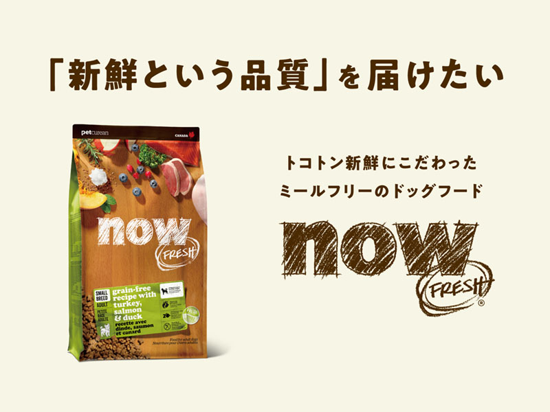 Amazon.co.jp: 【新鮮という品質をお届け】 ナウフレッシュ 0.35kg 超