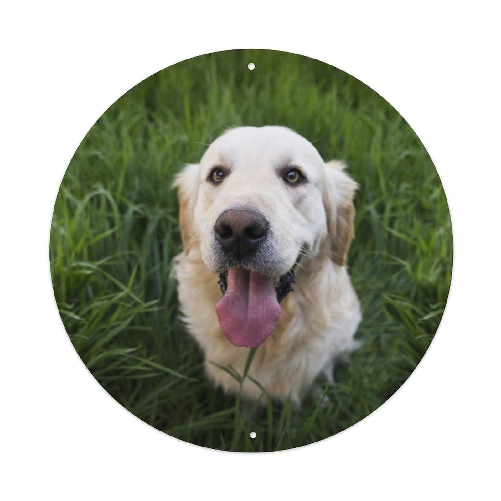 Cwbufd Vintage Style Animal Golden Retriever In Meadow Grass Natural Light Serene Outdoor Scene Vintage Metal Tin Sign Plaque Wall Decor For Cafe, Club Bar, Office, Garden Metal Poster 8X8inch